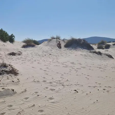 Apartamento Casa Mamaioa